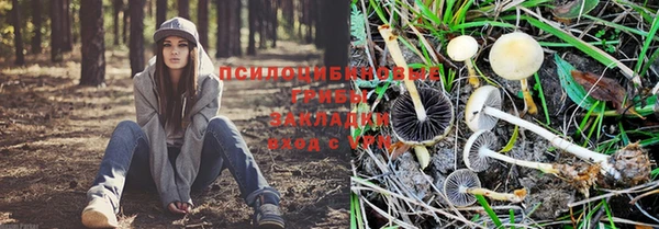 экстази Дмитровск