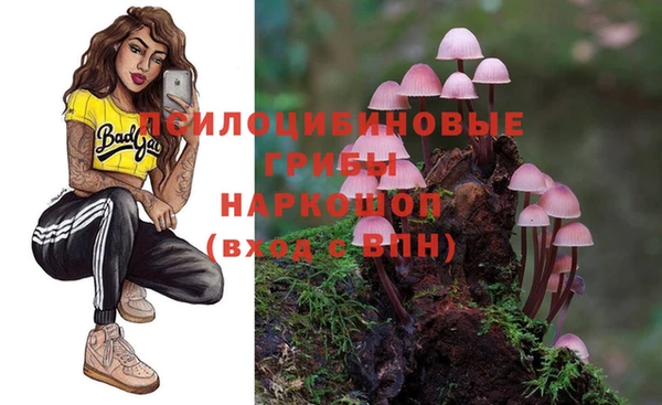 СК Дмитров