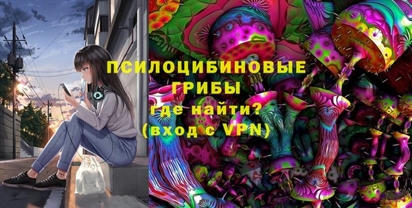 СК Дмитров