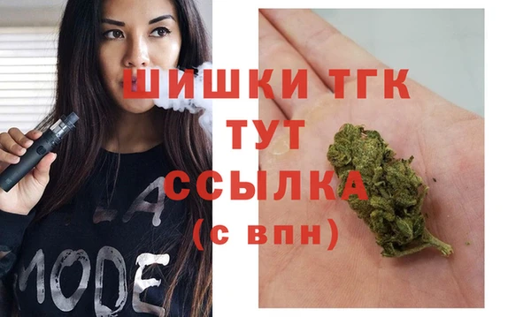СК Дмитров