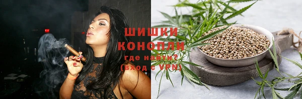 mix Ельня