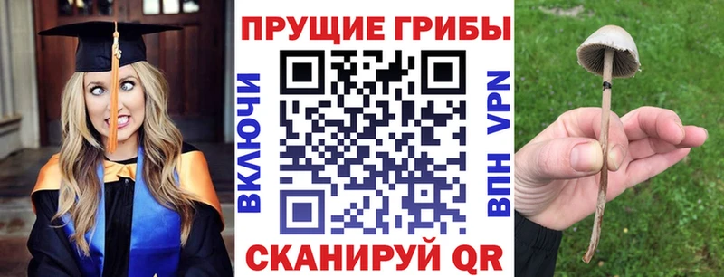 Псилоцибиновые грибы мицелий  дарнет шоп  Славск 